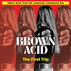 Various Brown Acid: The First Trip (Heavy Rock From The American Comedown Era) Vinyl LP USED