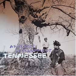 Arrested Development Tennessee Vinyl 12" USED