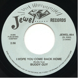 Buddy Guy This Is The End / I Hope You Come Back Home USED VINYL 7INCH 45 RPM