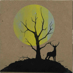 Auryn / Bosque (2) Auryn / Bosque Vinyl 7" USED