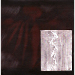 Wyrm Divination Bones b/w Adam Coils Vinyl 7" USED