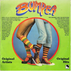 Various Bumper Vinyl LP USED