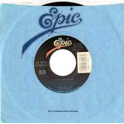 Céline Dion / Clive Griffin When I Fall In Love Vinyl 7" USED