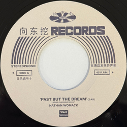 Nathan Womack Past But The Dream Vinyl 7" USED