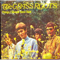 The Grass Roots Things I Should Have Said USED VINYL 7INCH 45 RPM SINGLE