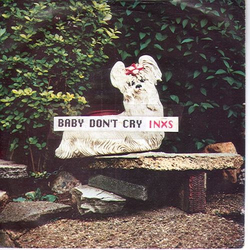 INXS Baby Don't Cry Vinyl 7" USED