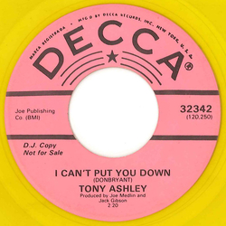 Tony Ashley I Can't Put You Down / We Must Have Love Vinyl 7" USED