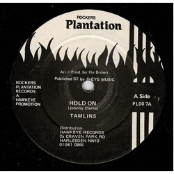 The Tamlins Hold On USED VINYL 12INCH