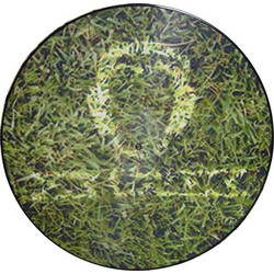 Various Picture Disc USED VINYL 12INCH 33 S RPM PICTURE DISC