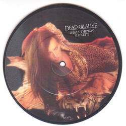 Dead Or Alive That's The Way (I Like It) USED VINYL 7INCH 45 RPM PICTURE DISC