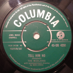 The Mudlarks Tell Him No / Time Flies Vinyl 7" USED