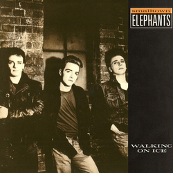 Smalltown Elephants Walking On Ice Vinyl 12" USED
