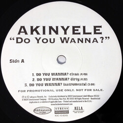 Akinyele Do You Wanna? VINYL 12" USED