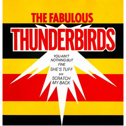 The Fabulous Thunderbirds You Ain't Nothin' But Fine Vinyl 7" USED