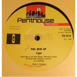Tiger Nha Skin Up Vinyl 12" USED