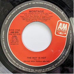 Montage (7) The Boy Is Hot USED VINYL 7INCH