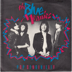 The Blue Meanies Pop Sensibility USED VINYL 7INCH 45 RPM SINGLE
