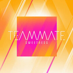 TeamMate / Mike Taylor (33) Sweetness / Electric Feel USED VINYL 7INCH 45 RPM RECORD STORE DAY SINGLE