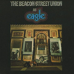 Eagle (8) Eagle Vinyl LP USED