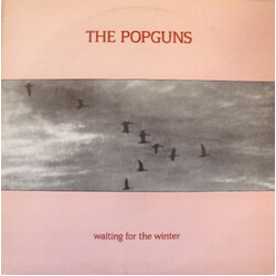 The Popguns Waiting For The Winter USED VINYL 12INCH 45 RPM SINGLE