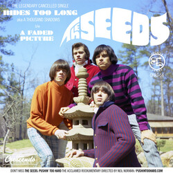 The Seeds A Thousand Shadows b/w A Faded Picture USED VINYL 7INCH 45 RPM SINGLE