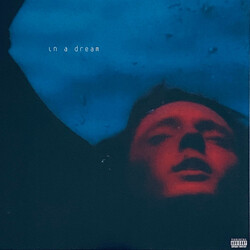 Troye Sivan In A Dream Vinyl LP USED