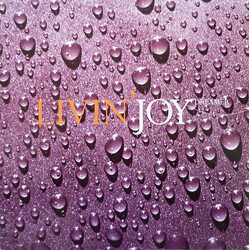 Livin' Joy Dreamer USED VINYL 12INCH 33 S RPM SINGLE