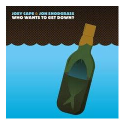 Joey Cape / Jon Snodgrass Who Wants To Get Down? USED VINYL 7INCH