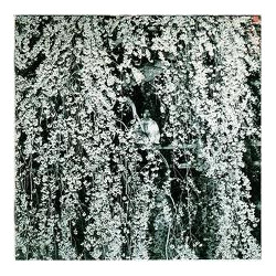 Mikami Kan 負ける時もあるだろう Vinyl LP USED