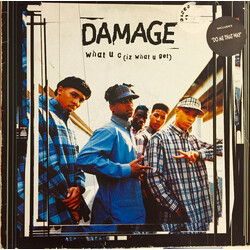 Damage What U C (Iz What U Get) USED VINYL 12INCH 33 S RPM