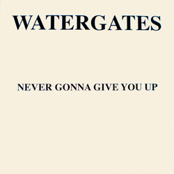 Watergates Never Gonna Give You Up USED VINYL 12INCH 45 RPM SINGLE