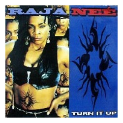 Raja-Neé Turn It Up VINYL 12" USED