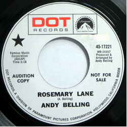 Andy Belling The Goodbye Song USED VINYL 7INCH 45 RPM SINGLE PROMO