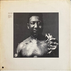 Muddy Waters After The Rain Vinyl LP USED