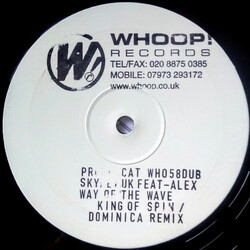 Skynet UK / Alex Parks Way Of The Wave (The Dubs) USED VINYL 12INCH WHITE LABEL