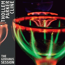 Thollem McDonas / William Parker / Nels Cline The Gowanus Session Vinyl LP USED