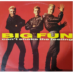 Big Fun Can't Shake The Feeling USED VINYL 12INCH 45 RPM MAXI-SINGLE