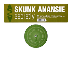 Skunk Anansie Secretly (Armand Van Helden Remix) Vinyl 12" USED