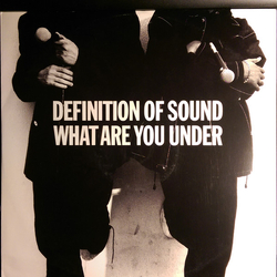 Definition Of Sound What Are You Under Vinyl 12" USED