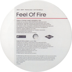 Lucy Skye Feel Of Fire Vinyl 12" USED