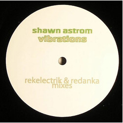 Shawn Astrom Vibrations VINYL 12" USED