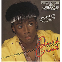 David Grant Watching You Watching Me Vinyl 12" USED