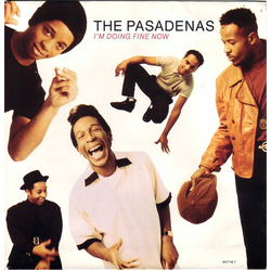 The Pasadenas I'm Doing Fine Now Vinyl 7" USED