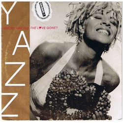 Yazz Where Has All The Love Gone? Vinyl 7" USED