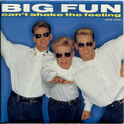 Big Fun Can't Shake The Feeling USED VINYL 7INCH 45 RPM SINGLE STEREO