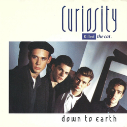 Curiosity Killed The Cat Down To Earth Vinyl 7" USED