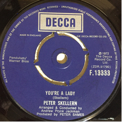 Peter Skellern You're A Lady / Manifesto Vinyl 7" USED