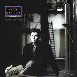 Rick Astley Hold Me In Your Arms Vinyl 7" USED
