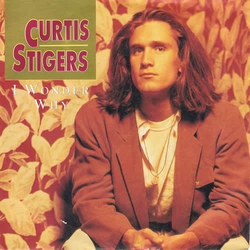 Curtis Stigers I Wonder Why Vinyl 7" USED