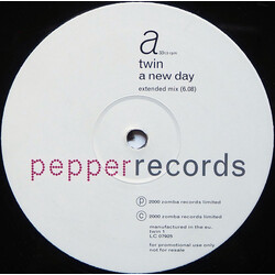 Twin A New Day USED VINYL 12INCH PROMO